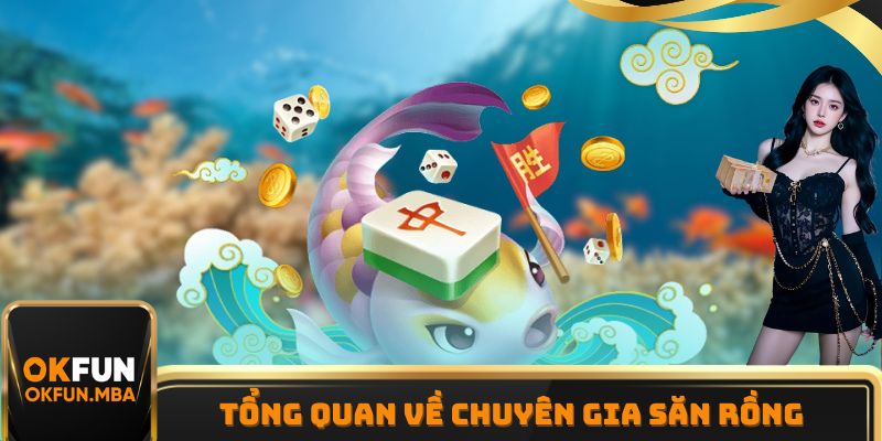Một vài thông tin tổng quan cần biết về chuyên gia săn rồng
