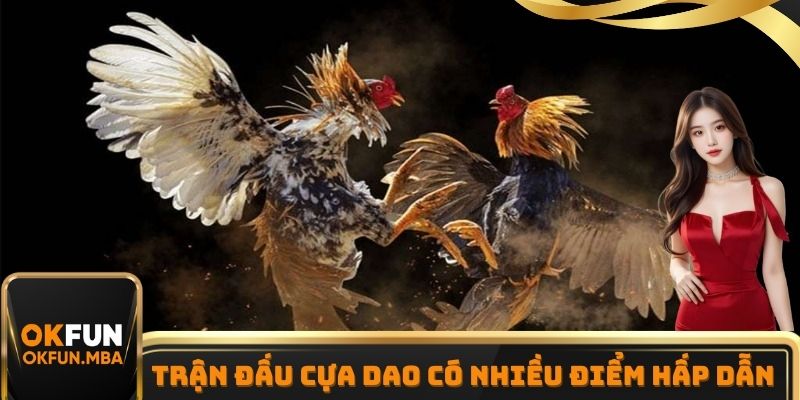 Trận đấu đá gà cựa dao nổi bật với nhiều yếu tố hấp dẫn