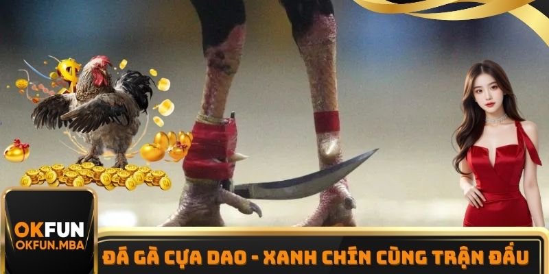 Đá Gà Cựa Dao - Xanh Chín Cùng Trận Đấu Hấp Dẫn Tại OKFUN