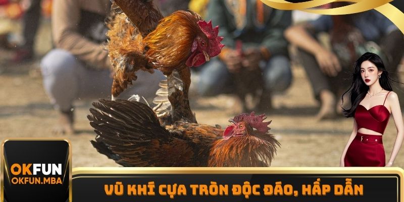 Đá gà cựa sắt vũ khí hình tròn có tính chất độc đáo