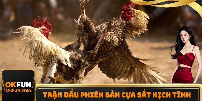 Gà đá phiên bản cựa sắt mang đến trải nghiệm thú vị