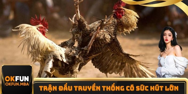 Dự đoán trận đấu truyền thống trong đá gà OKFUN