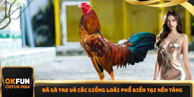 Đá gà tre và các giống loài phổ biến tại nền tảng