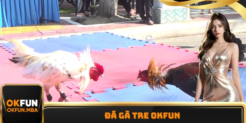 Đá Gà Tre OKFUN - Cách Để Phân Biệt Cá Thể Mạnh Mẽ Nhất