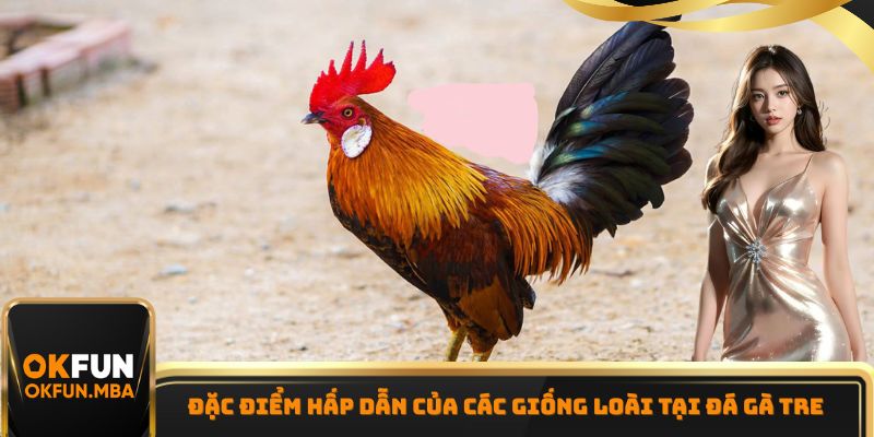 Đặc điểm hấp dẫn của các giống loài tại đá gà tre