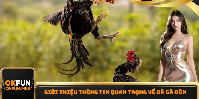 Giới thiệu thông tin quan trọng về đá gà đòn Giới thiệu thông tin quan trọng về đá gà đòn