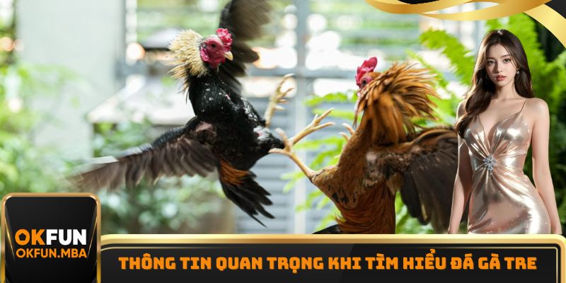 Thông tin quan trọng khi tìm hiểu đá gà tre